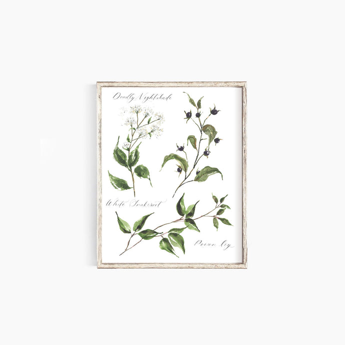 Poisonous Plants No. 1