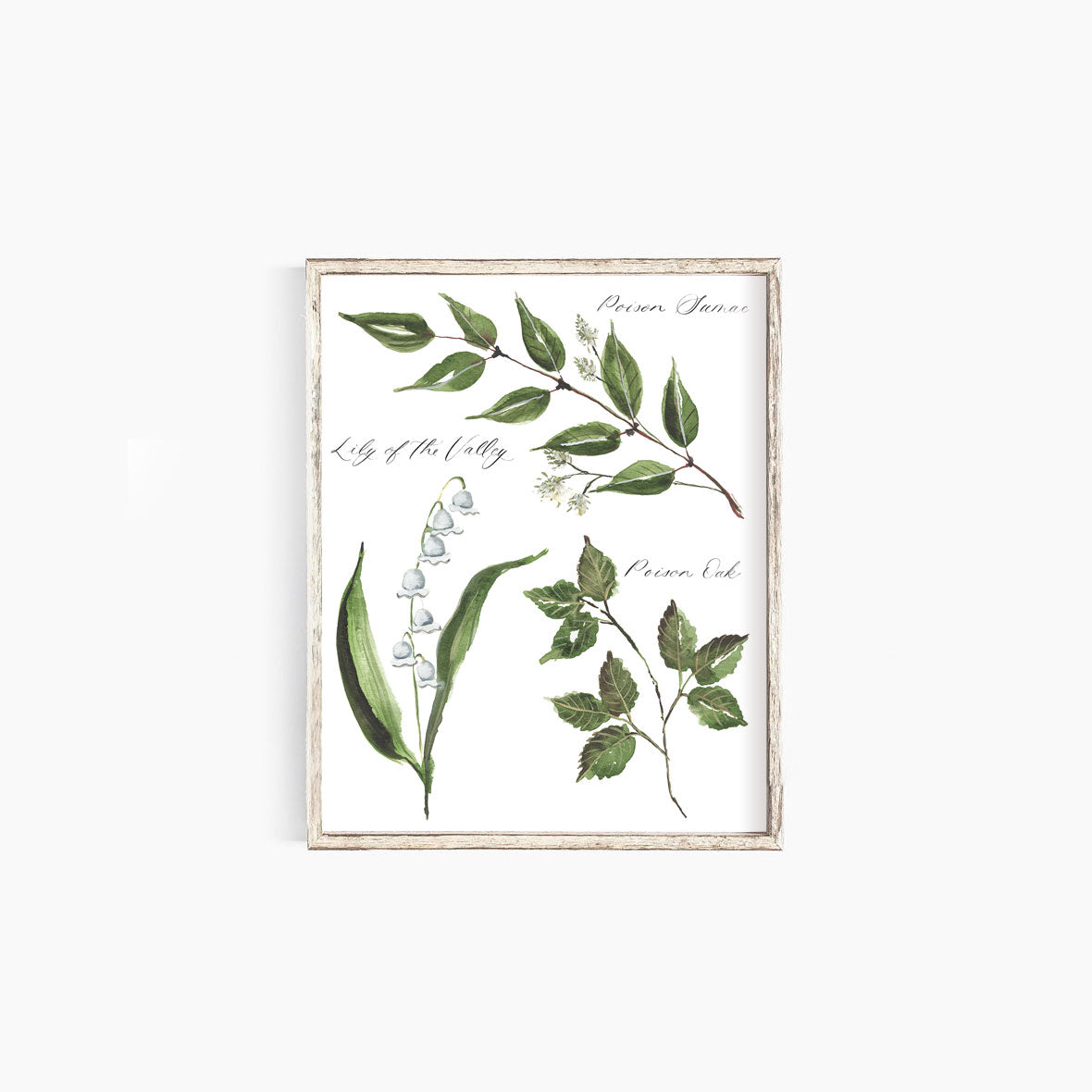 Poisonous Plants No. 2