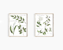Load image into Gallery viewer, Poisonous Plants No. 1