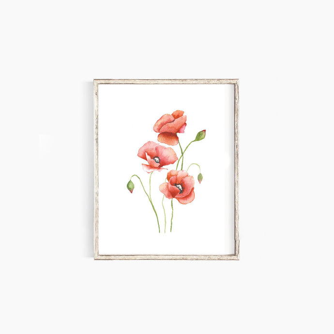 * RETIRING * Poppies