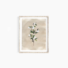 Load image into Gallery viewer, * RETIRING * Snowberries II