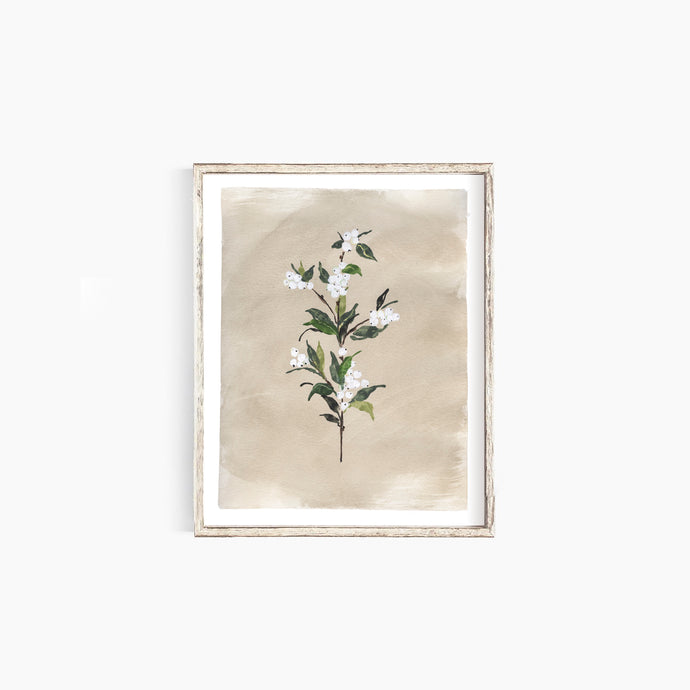 * RETIRING * Snowberries II