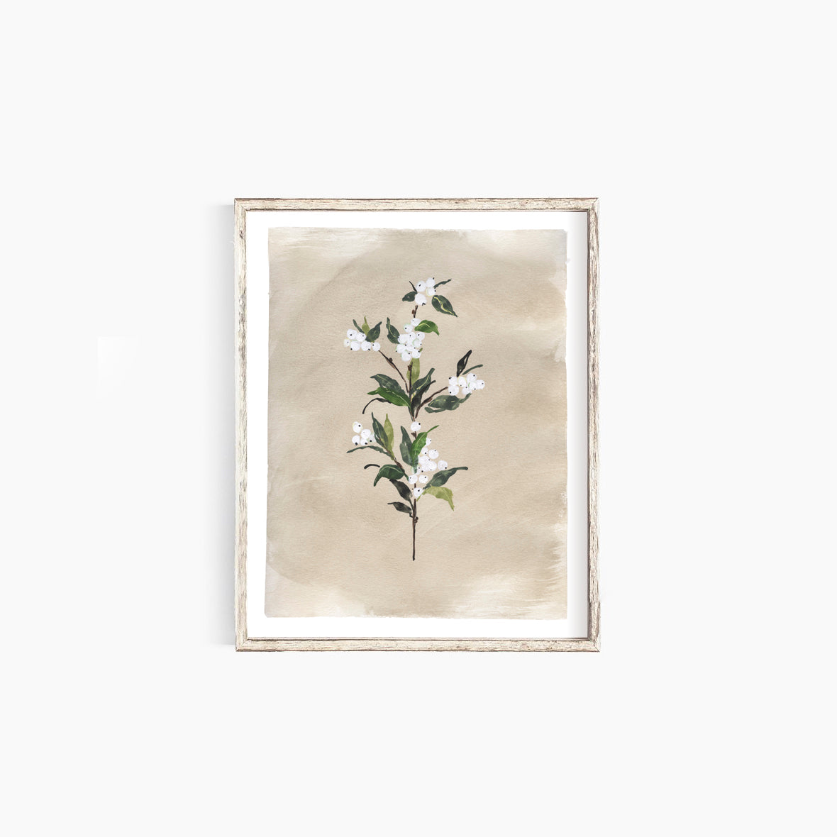 * RETIRING * Snowberries II