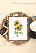 Load image into Gallery viewer, Sunflower