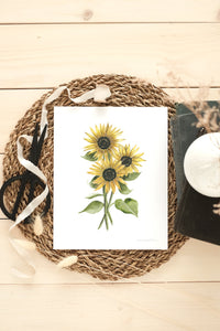 Sunflower