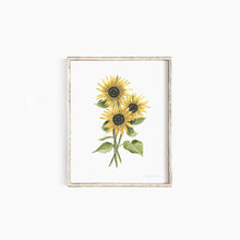 Load image into Gallery viewer, Sunflower