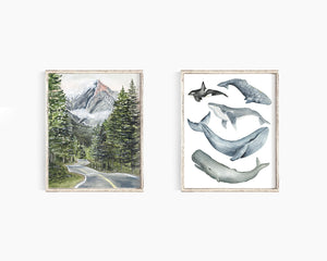 Whales