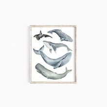 Load image into Gallery viewer, Whales