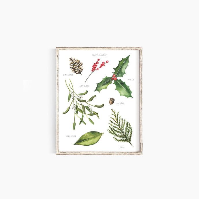 * RETIRING * Winter Botany