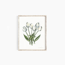 Load image into Gallery viewer, Tulips