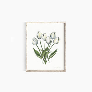 Tulips