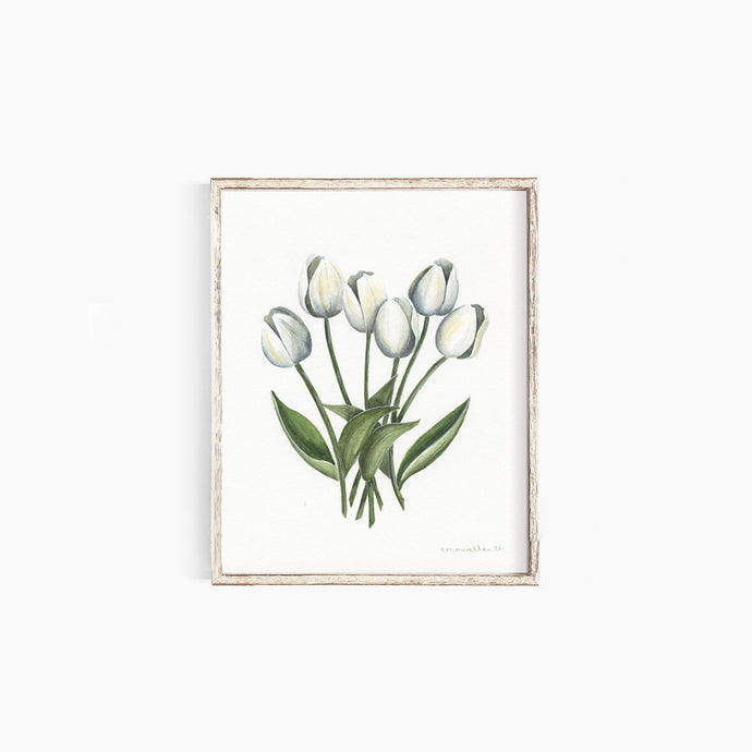 Tulips