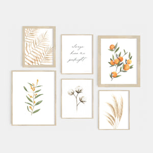 * RETIRING * Golden Wattle