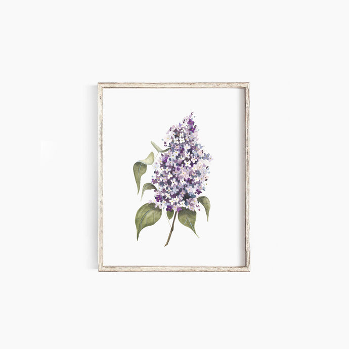 Lilac